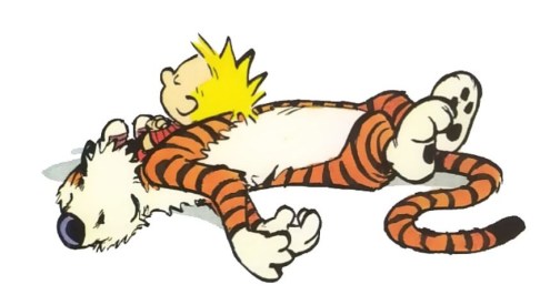 calvin and hobbes sleeping