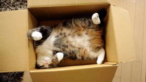 You say you hate boxes, but... look at what you're missing out on!