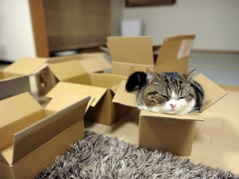 So many boxes! So much awesomeness!