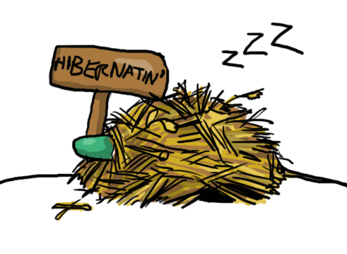 Hibernation