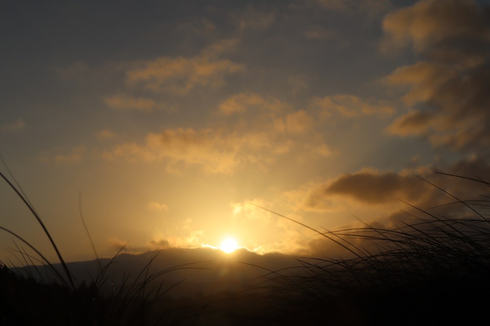 monastery sunrise with grass.jpg
