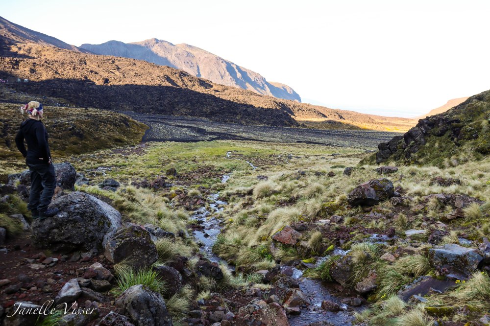 Spring Brook (1 of 1)