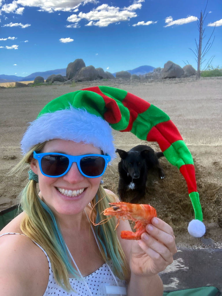 Me in a red and green Christmas hat holding a prawn with a black dog in the background